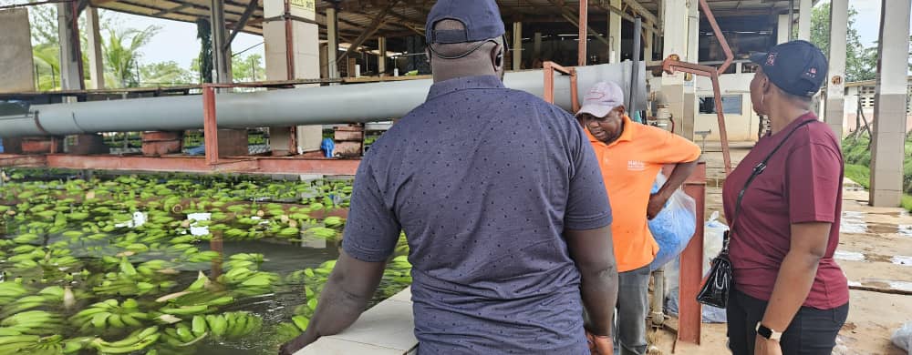 Installation agricole Faboula Agrobusiness